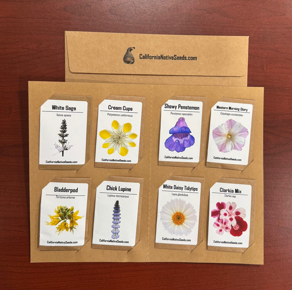 seed propagation of native california plants GIFT SET: California Native Seeds, Drought Tolerant – CaliforniaNativeSeeds.com