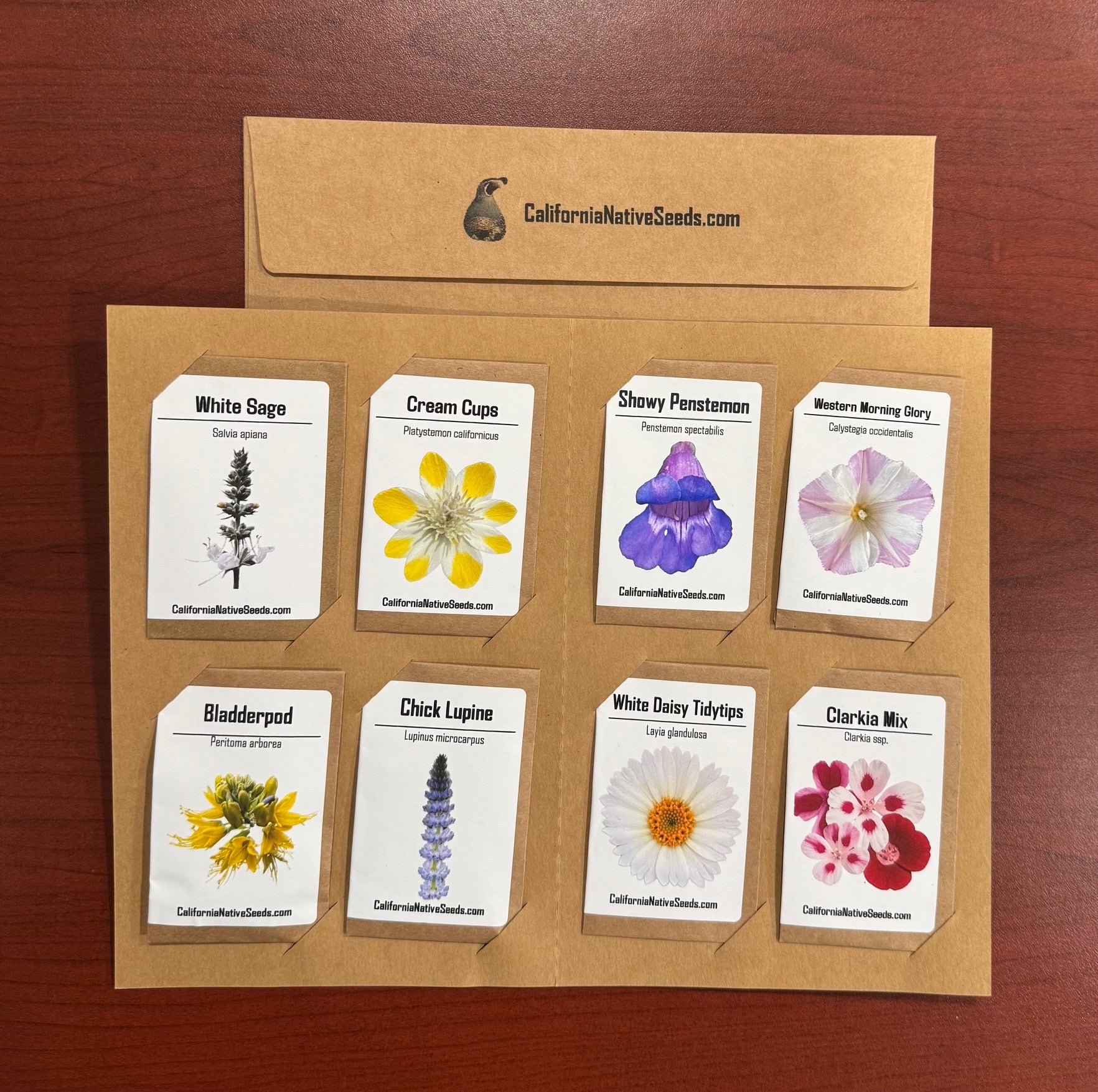 GIFT SET: California Native Seeds, Drought Resistant
