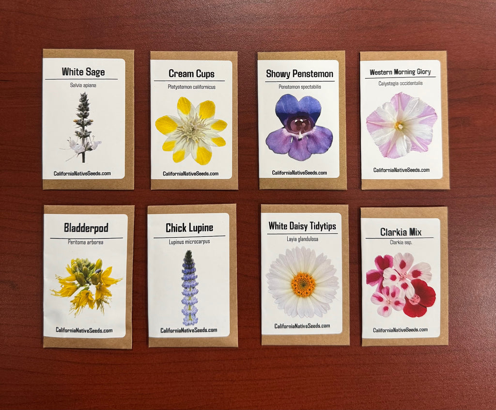 native california flower seeds GIFT SET: California Native Seeds, Drought Tolerant – CaliforniaNativeSeeds.com
