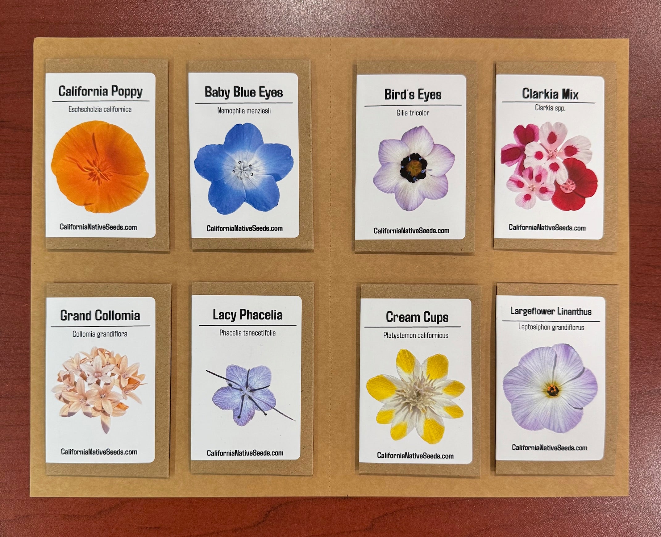 GIFT SET: Golden State Easy 8 - Annuals