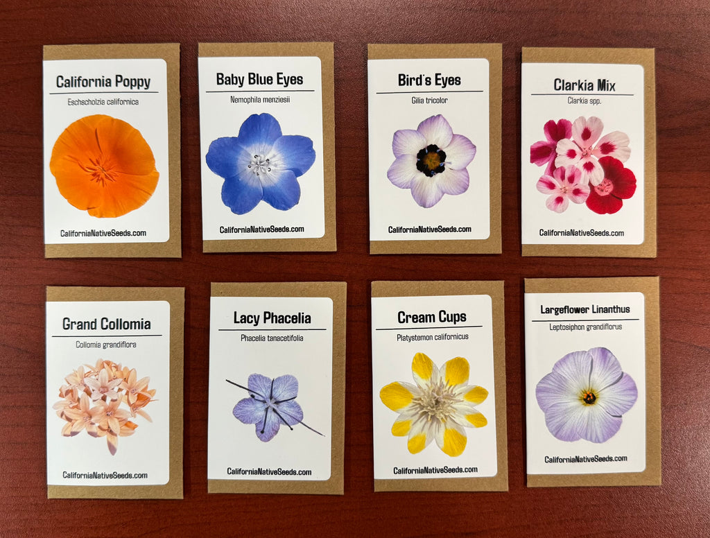 GIFT SET: Golden State Easy 8 - Annuals