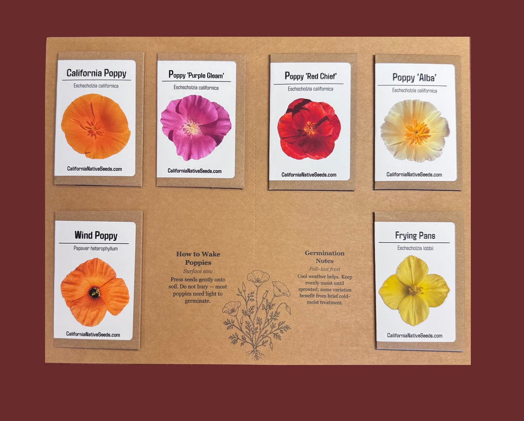 Poppy-Pourri: California Native Poppy Collection