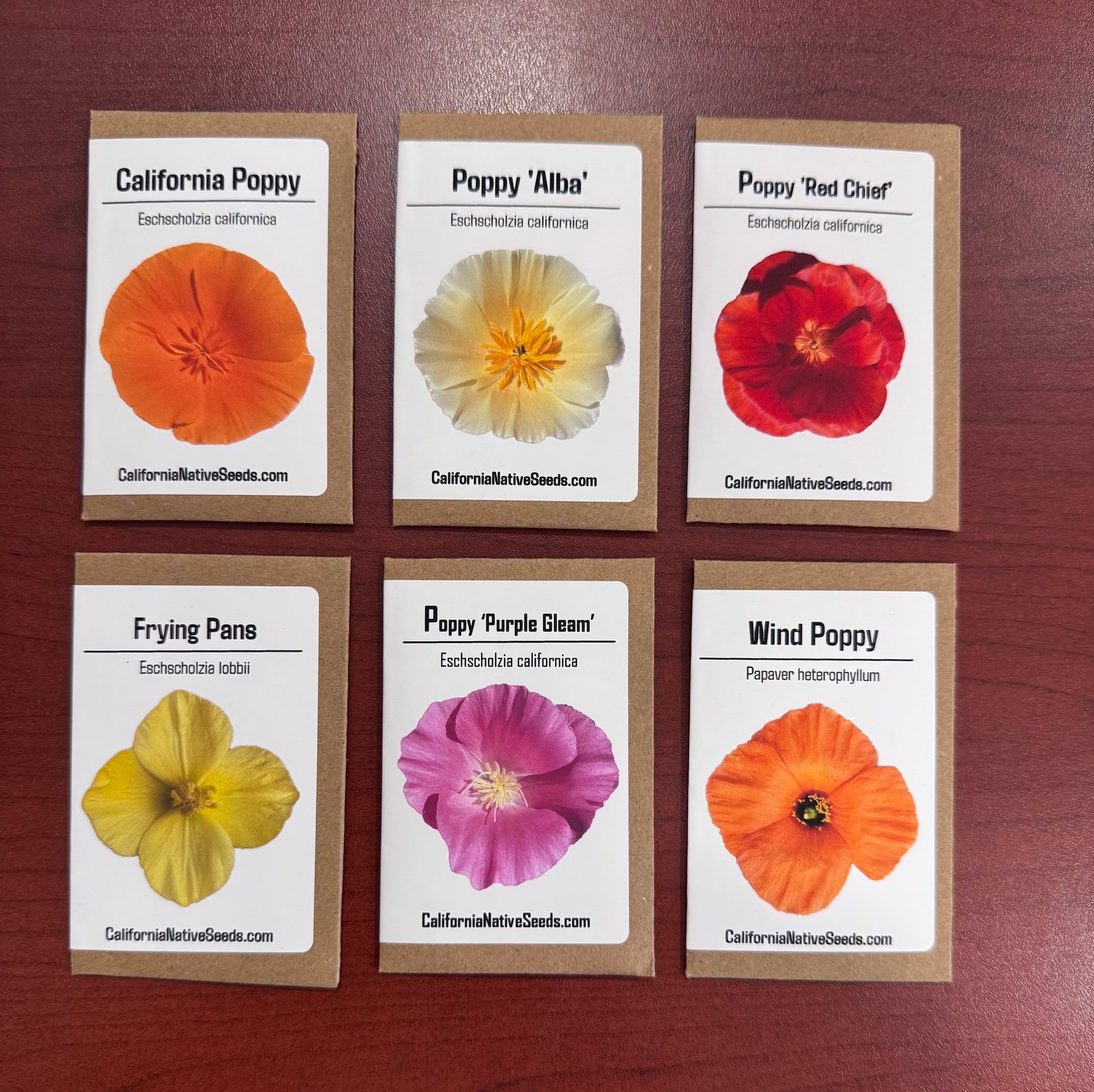 Poppy-Pourri: California Native Poppy Collection