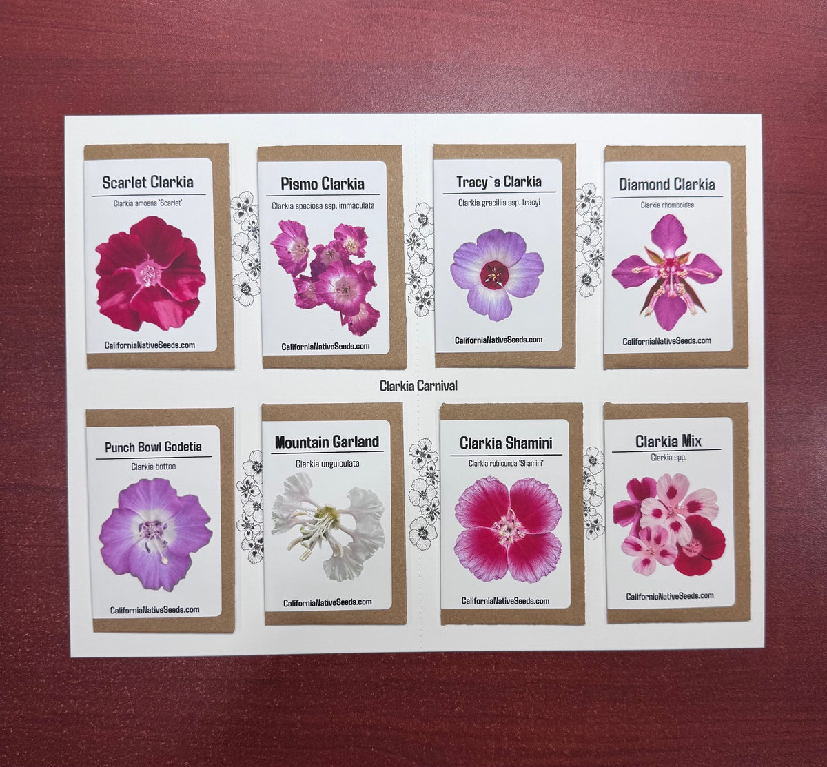 Clarkia Carnival seed set - 8 Varieties