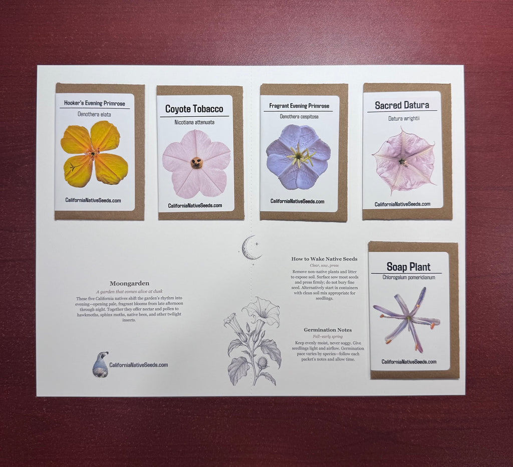Moon Garden seed set - 5 Varieties