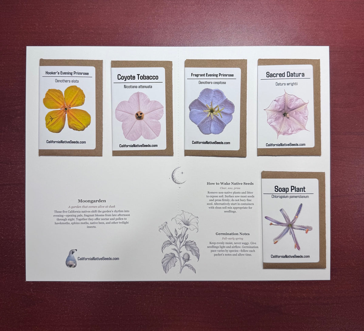 Moon Garden seed set - 5 Varieties