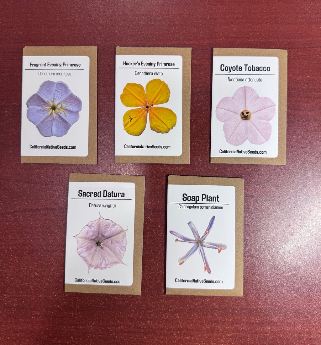 Moon Garden seed set - 5 Varieties