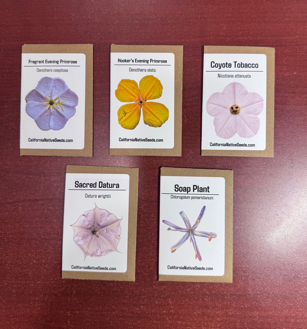 Moon Garden seed set - 5 Varieties