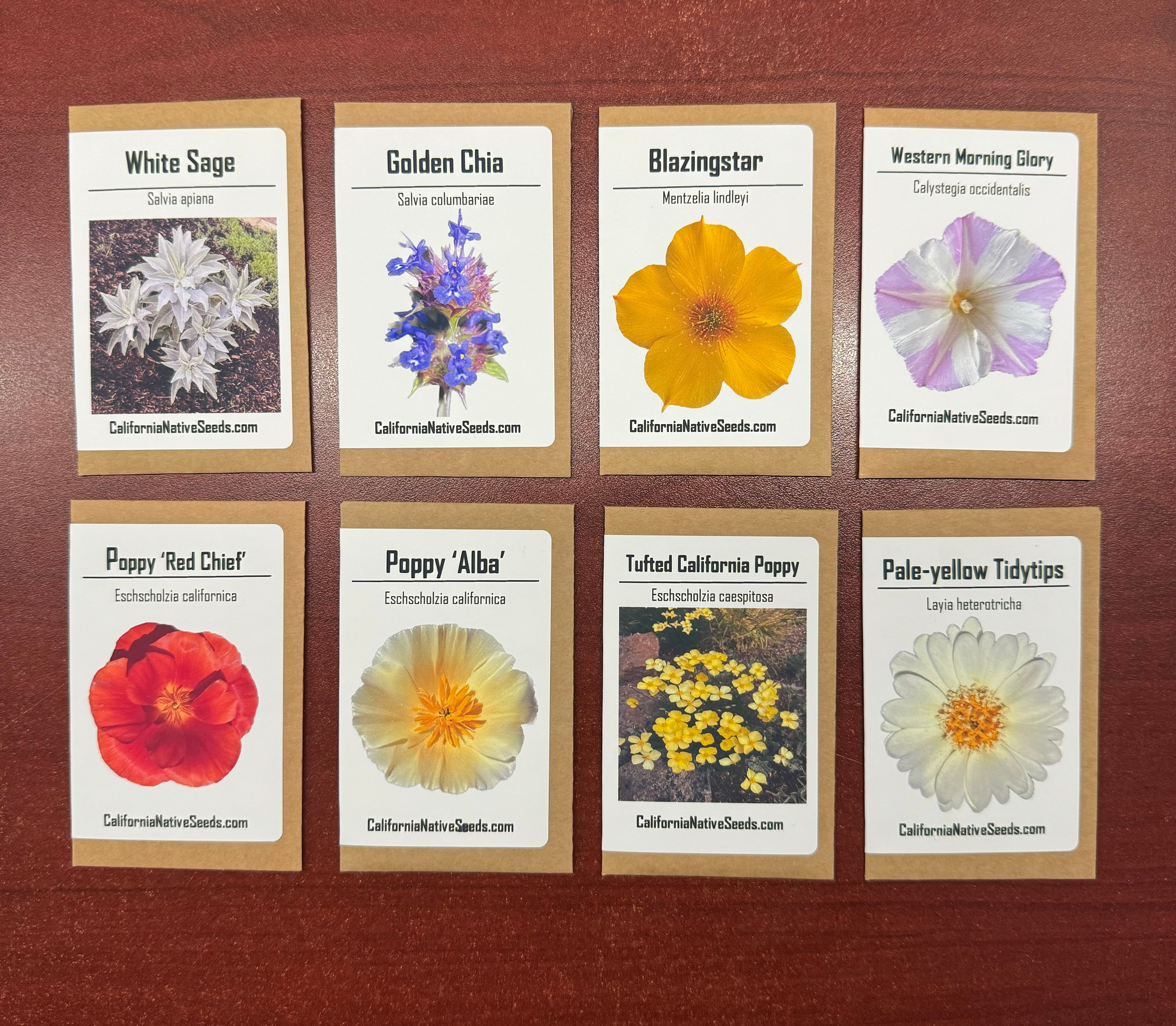 GIFT SET: California Native Seeds, Drought Resistant
