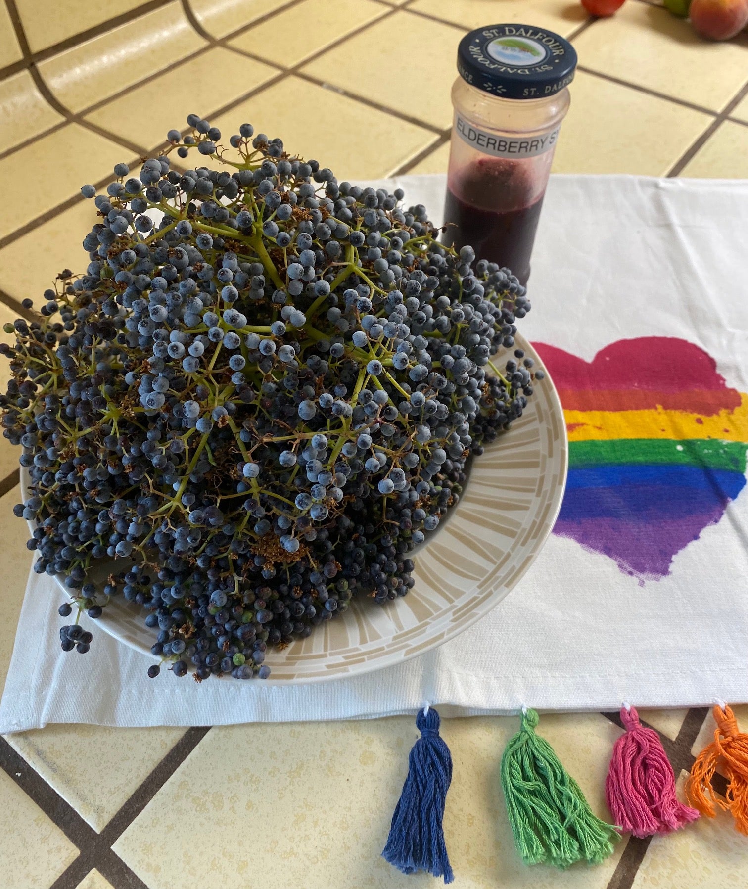 Blue Elderberry | Sambucus nigra ssp. caerulea seeds