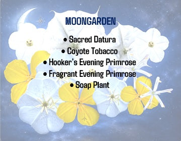 Moon Garden seed set - 5 Varieties